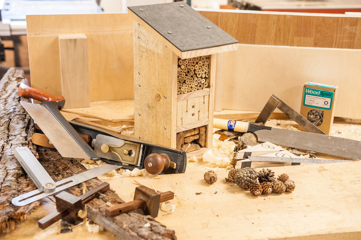 How to Make an Insect Inn