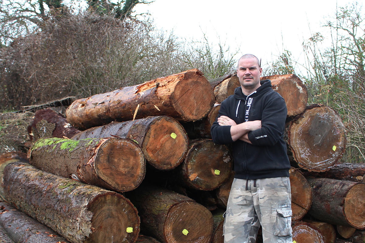 Resin: Working With Sustainable Timber