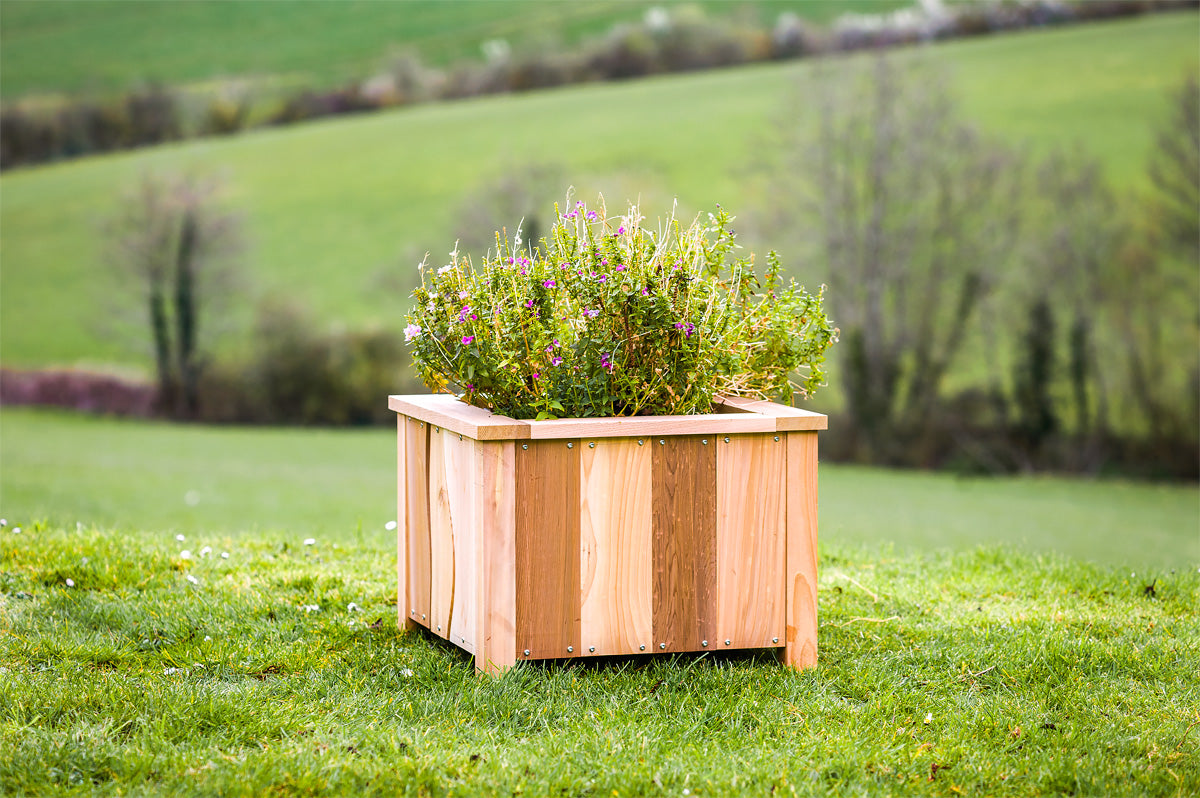 Plant up the Planter