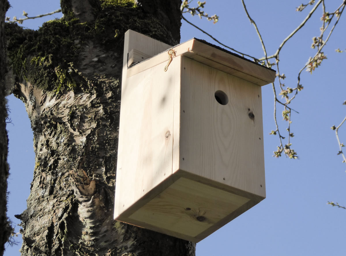 Birdhouse