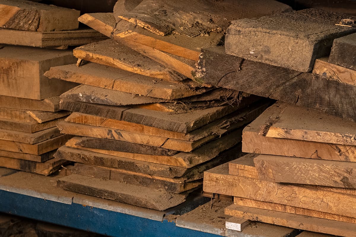 Choosing Timber for Your Projects | Woodworking Basics