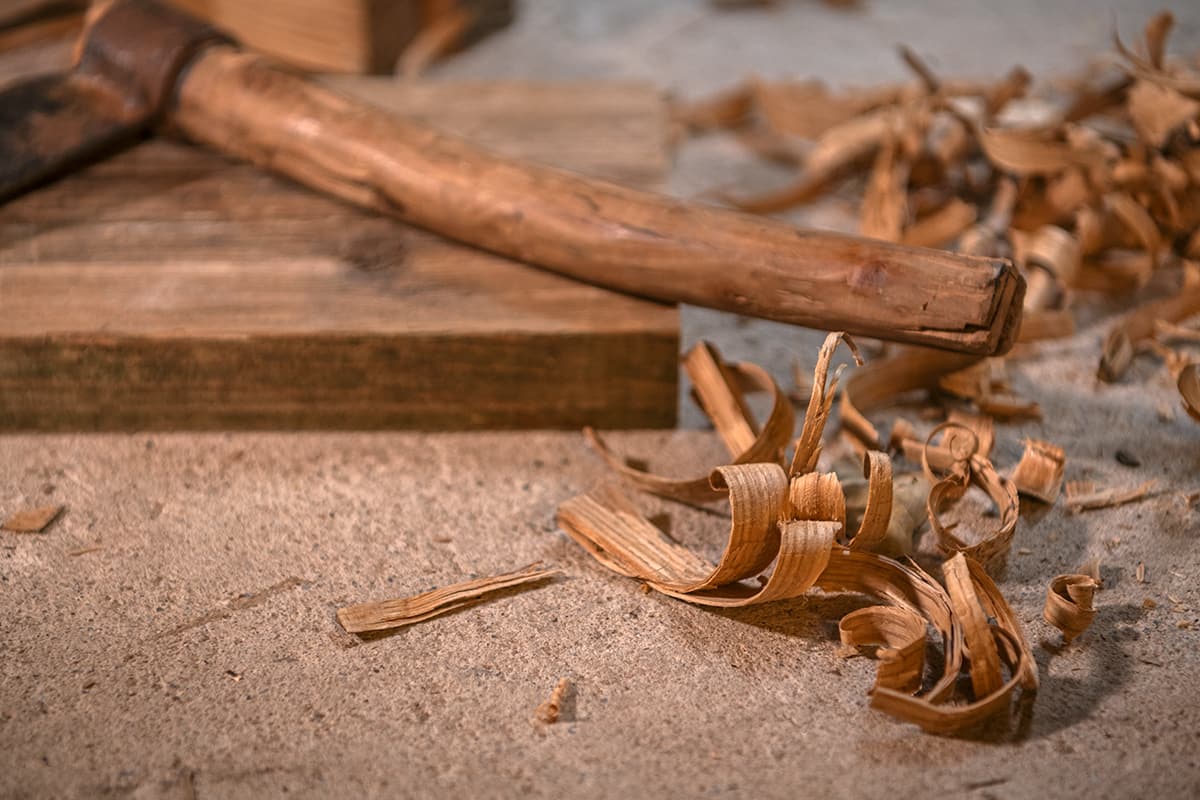 Timber Types - Softwood | Axminster Tools