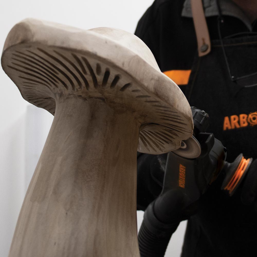 Arbortech Mini Carver MKII