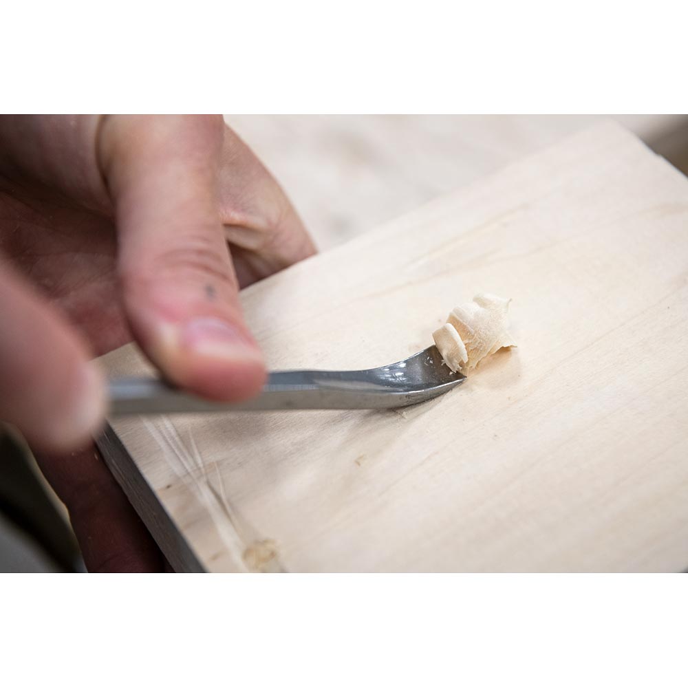Axminster 12 piece Carving Chisel Set