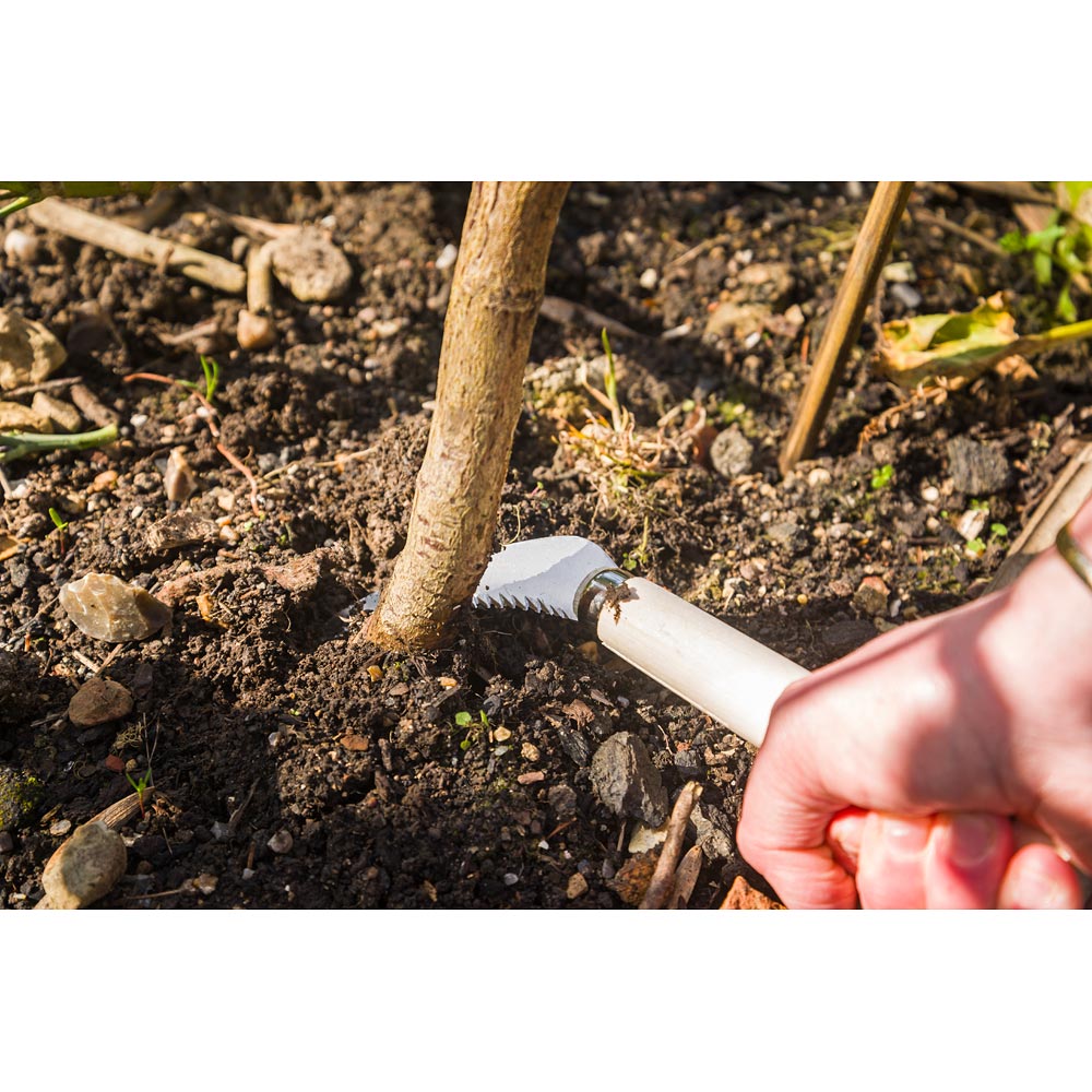 Ice Bear Japanese Gardener's Root Cutter